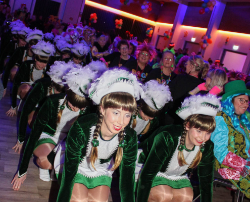 Frauenkarneval 2026 (124)