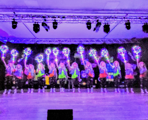 Frauenkarneval 2026 (203)